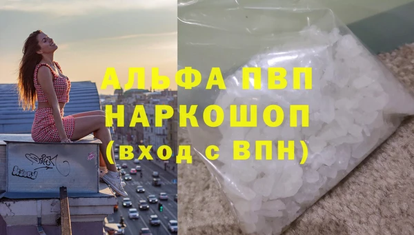 стафф Сосновоборск