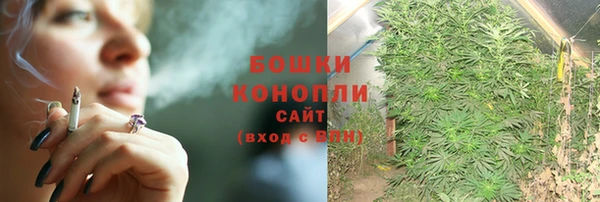 стафф Сосновоборск