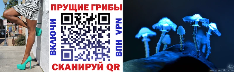 Галлюциногенные грибы MAGIC MUSHROOMS  Касимов 